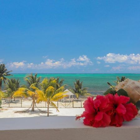 Treetops Hotel Caye Caulker Eksteriør billede