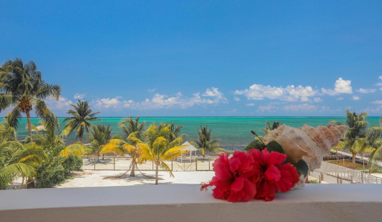 Treetops Hotel Caye Caulker Eksteriør billede