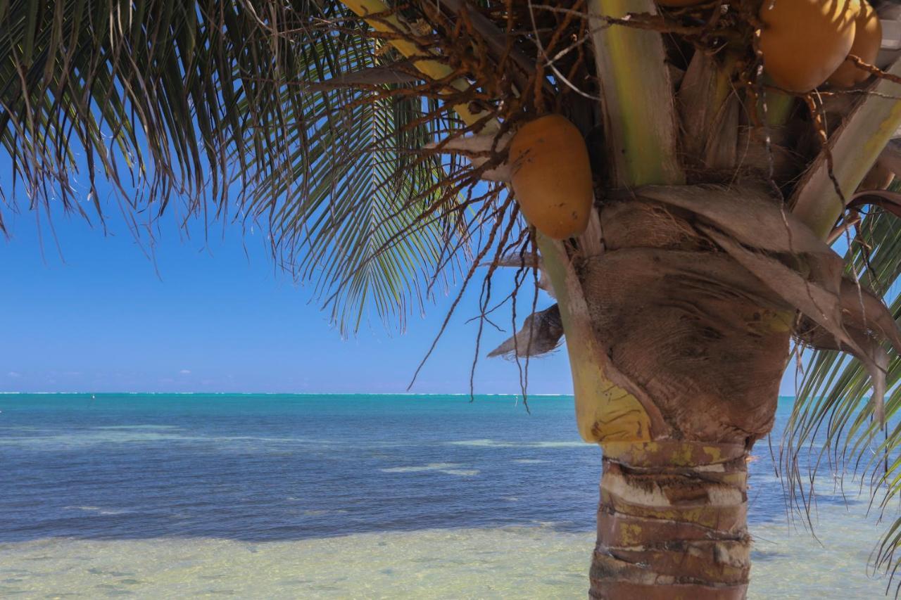 Treetops Hotel Caye Caulker Eksteriør billede